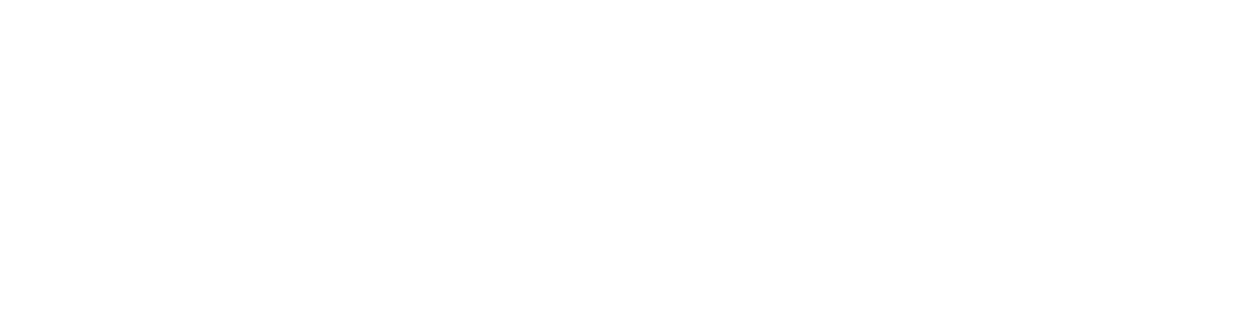 VizionLab